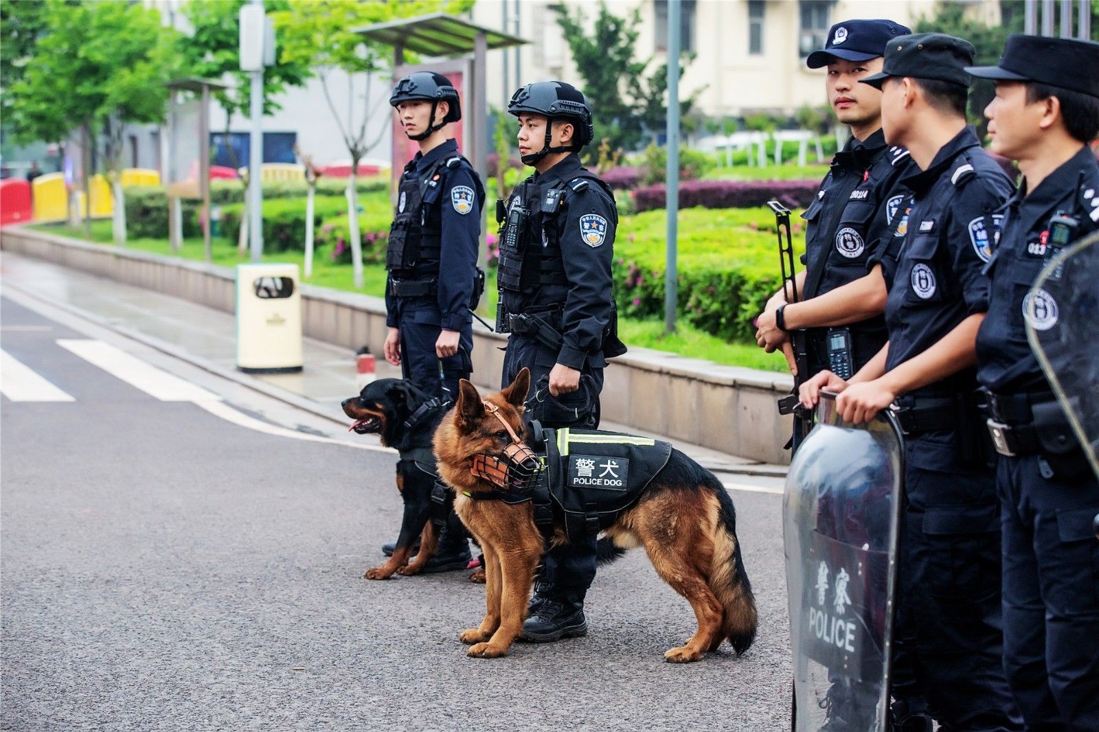 湖南抖圈官网体育管理有限公司