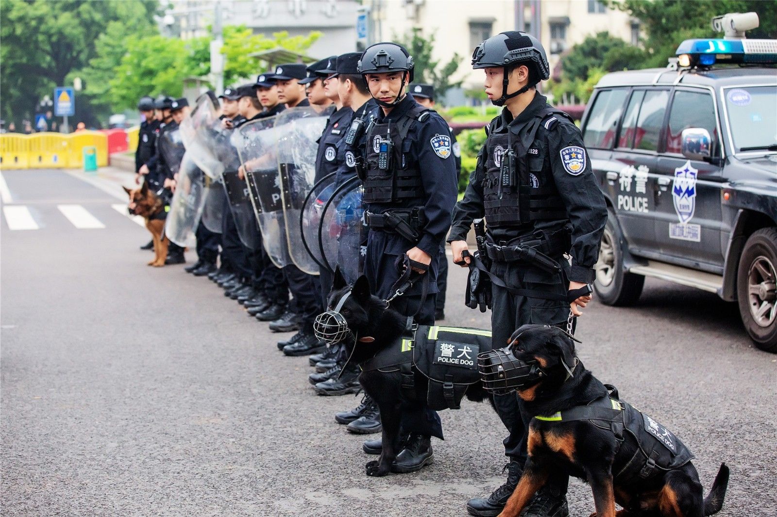 湖南抖圈官网体育管理有限公司